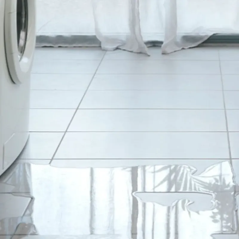 Appliance Leak Cleanup in Skamania County, WA